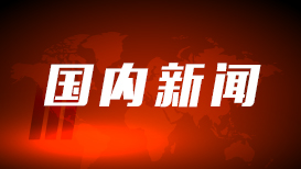 林诗栋比张本智和