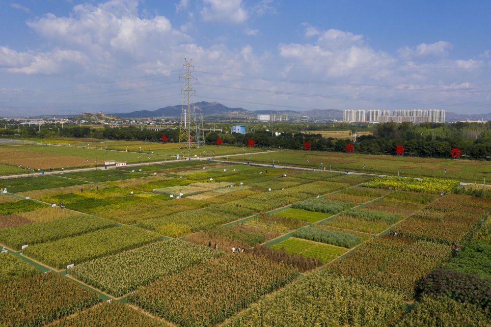 水利部部署南方地区暴雨洪水防御工作