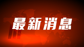 杨幂治好了我的犯错羞耻症