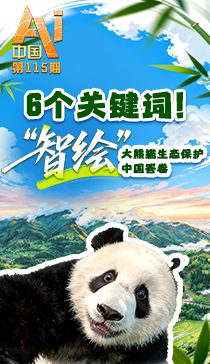 对战