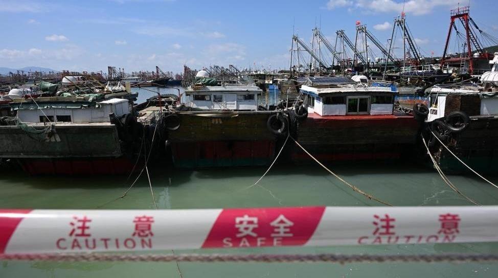 岁李银河称从未后悔选择丁克