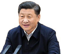 文章模仿向佐动作