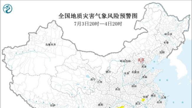 林诗栋张本智和
