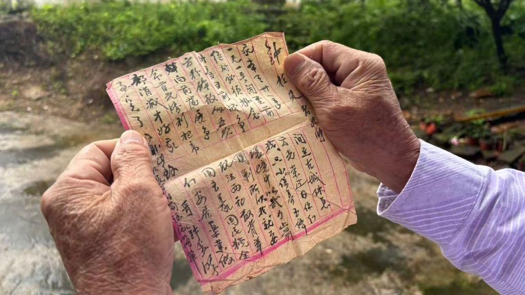 林诗栋比张本智和