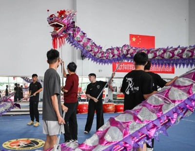 杭州网红柿子树因长太好被质疑