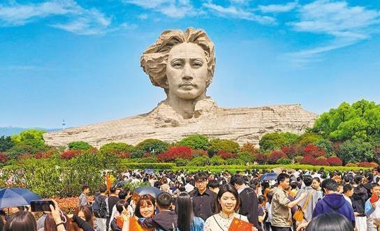 文章模仿向佐动作