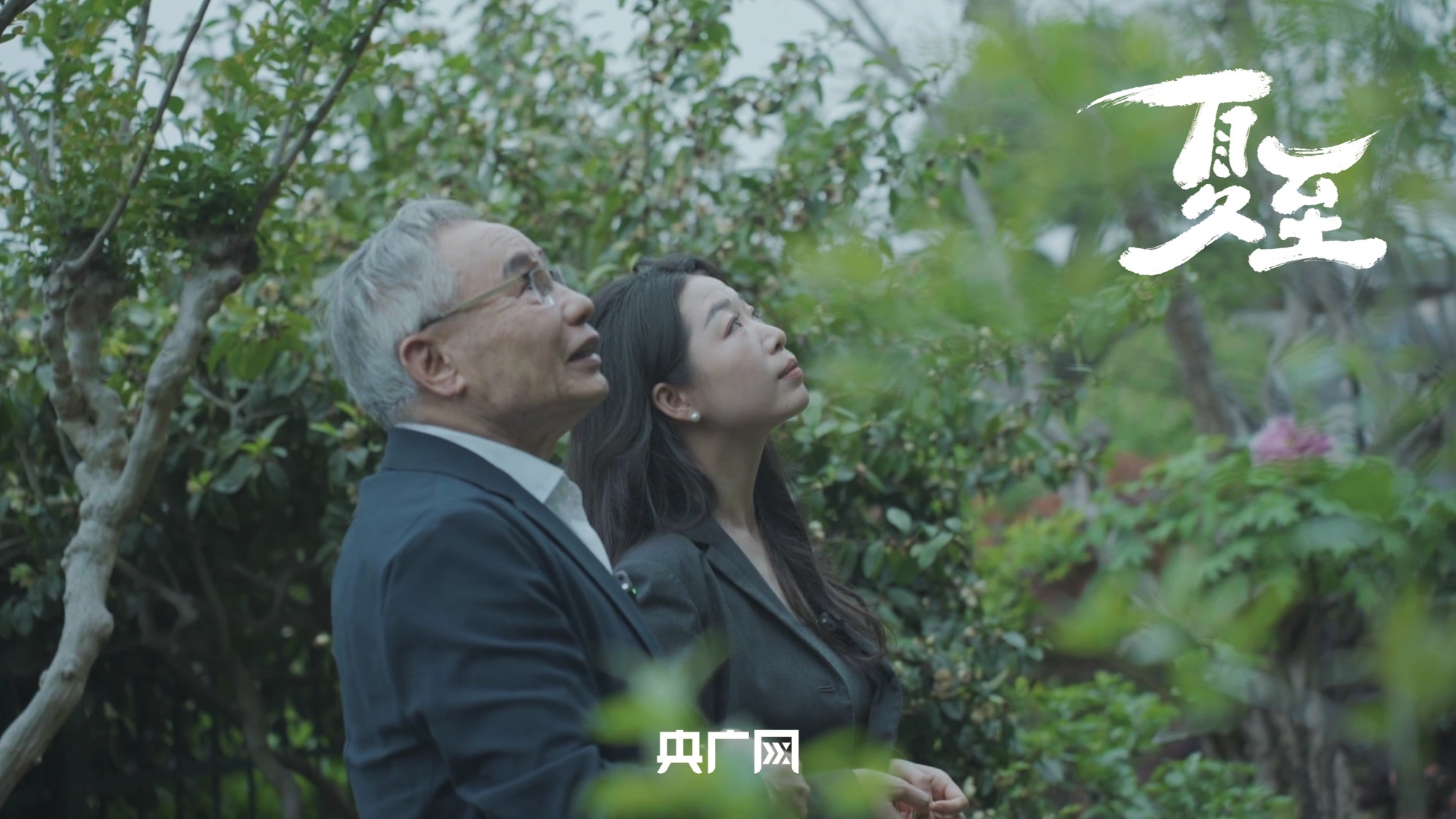 想辞职去浙江农村过低欲望的生活