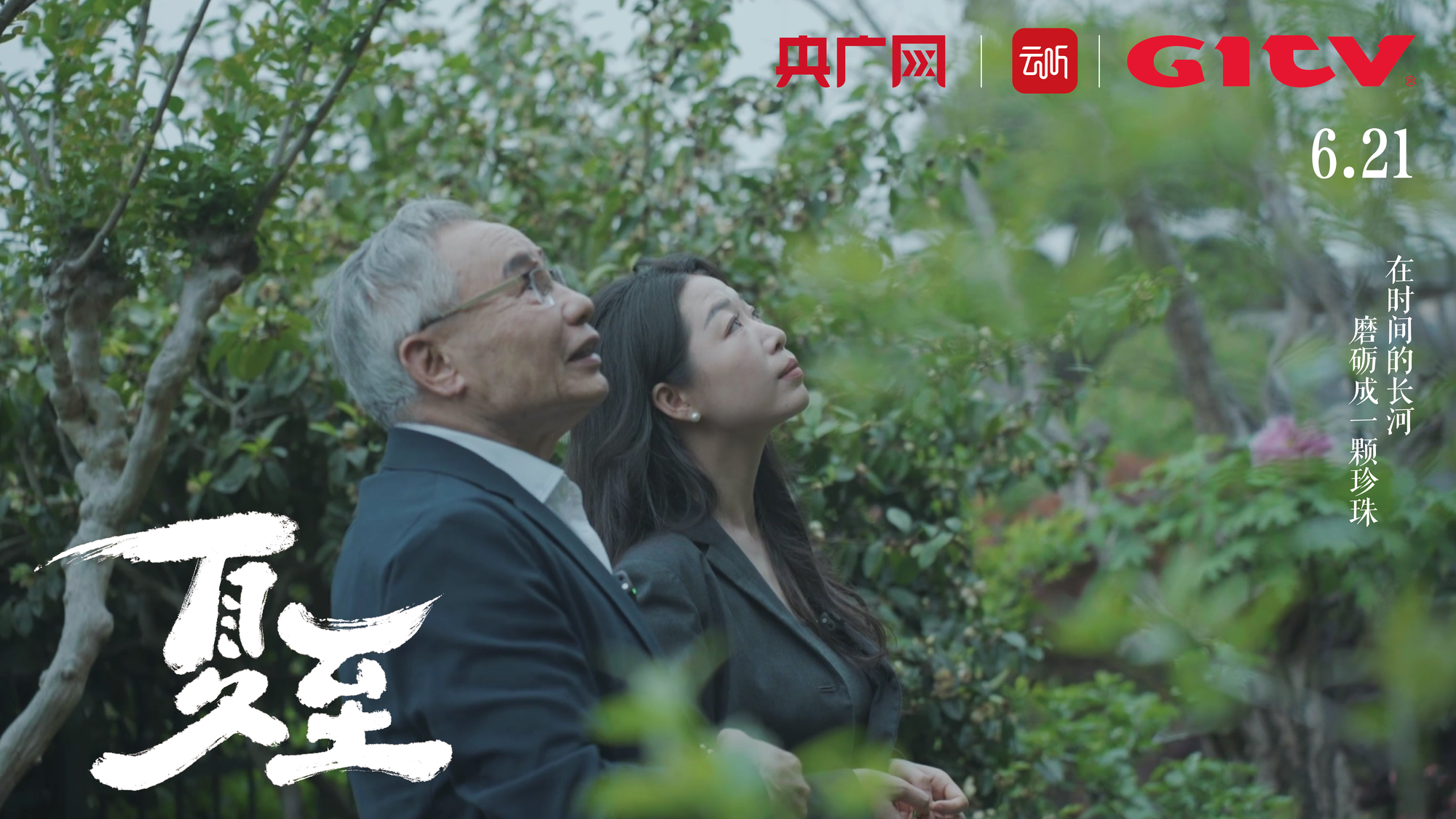 台独顽固分子沈伯洋曹兴诚被惩戒