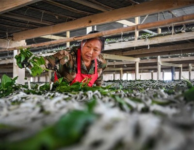 台湾专家:两岸合作可助缓解台湾AI产业用电压力