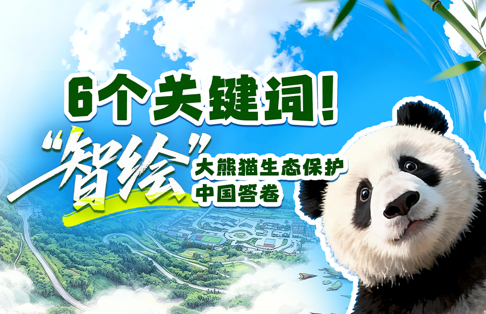 林诗栋比张本智和